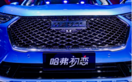 <b>年轻人的第一台车，非哈弗初恋莫属</b>