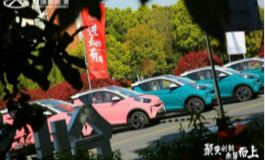<b>小蚂蚁15万蚁粉款 行走在春天的靓丽风景</b>