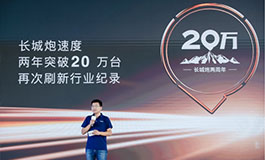 <b>海外多地开花 2年20万的长城炮立足中国 走向全球</b>
