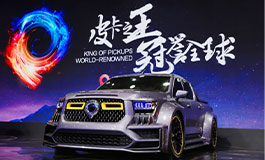 <b>累计17个月销量破万 长城炮凭什么总能“秒空”式带货</b>