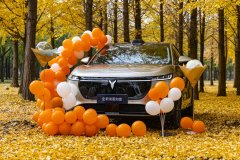 全新岚图知音季节限定交付，一心一意拉满用户情绪价值