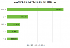 “最值钱”双积分榜单公布！比亚迪再次遥遥领先